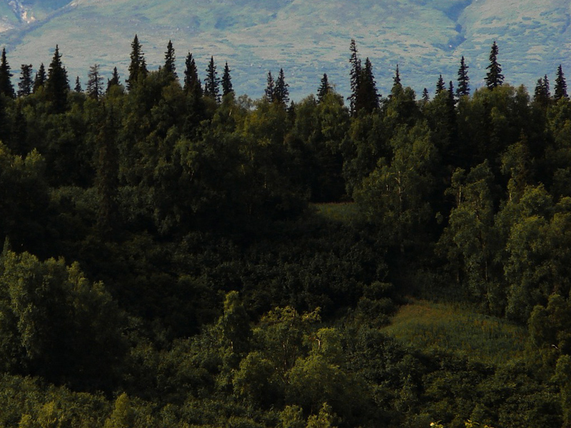 2-B ARAZİLERİ İLE YAPILMAK İSTENEN NEDİR? (1)